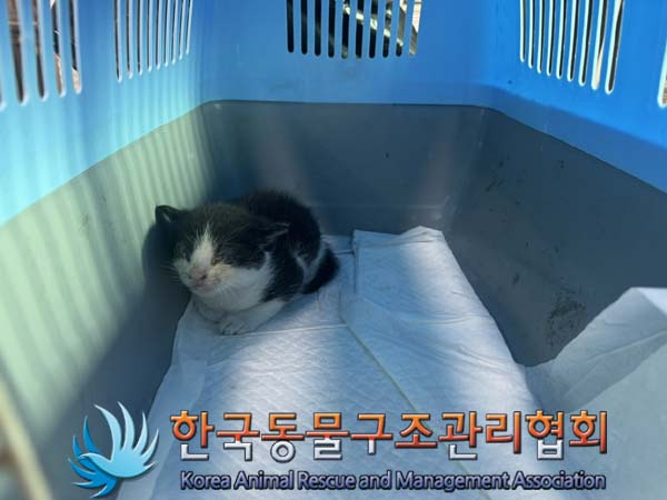 한국동물구조관리협회_411304202400433